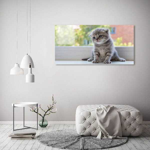 Canvas wall art Little Cat by the window