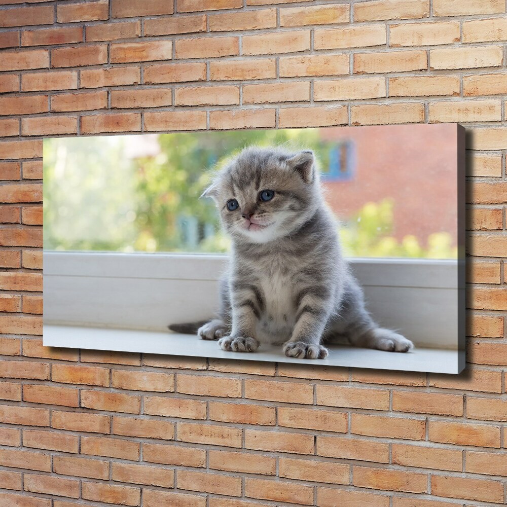 Canvas wall art Little Cat by the window