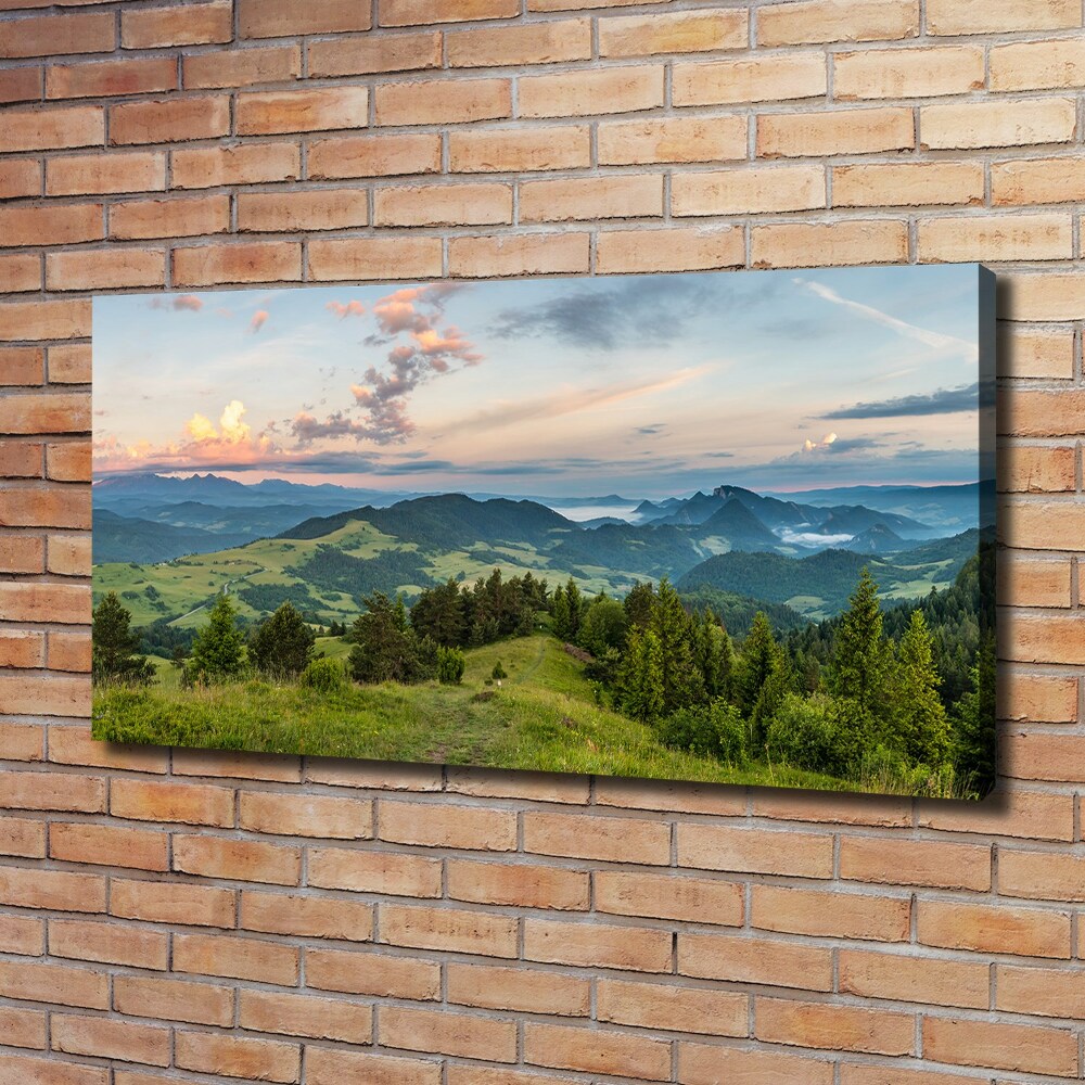 Canvas wall art Panorama of the Pieniny