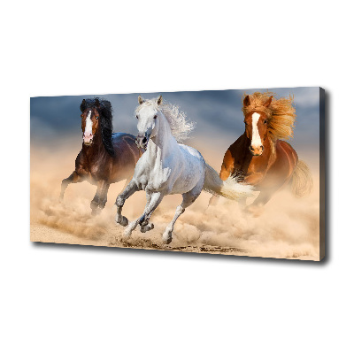 Canvas wall art Horses in the desert