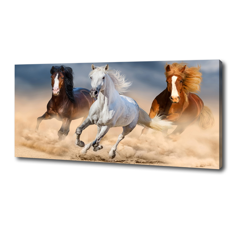 Canvas wall art Horses in the desert