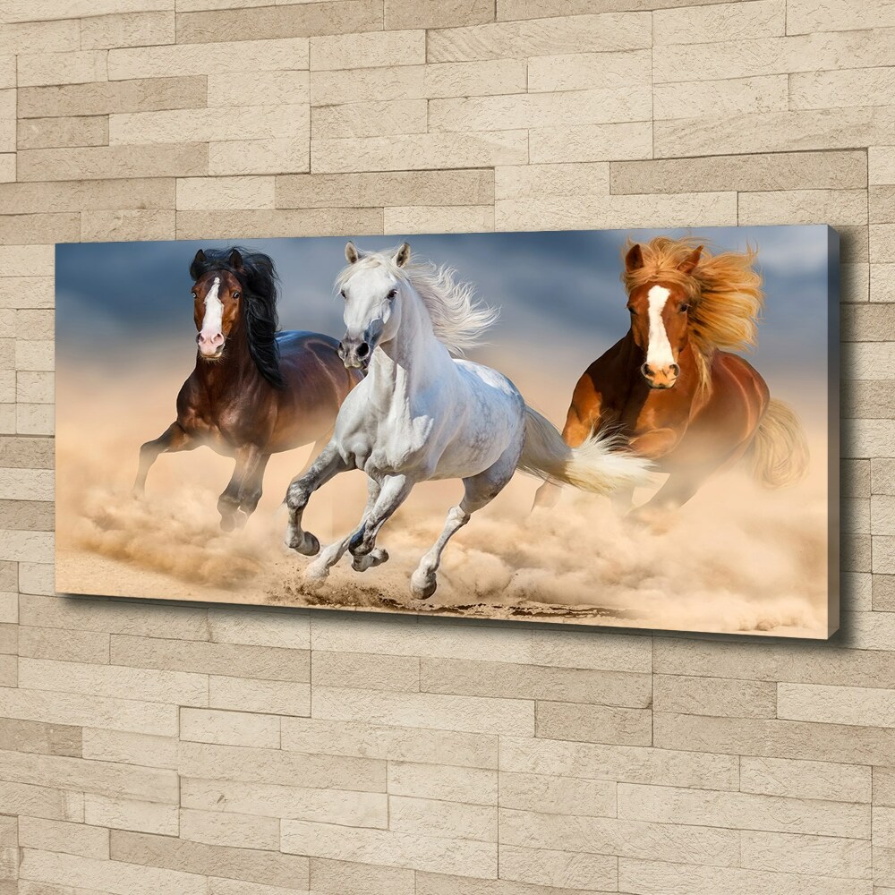 Canvas wall art Horses in the desert