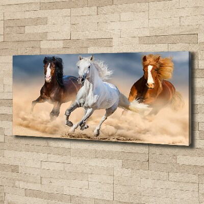 Canvas wall art Horses in the desert