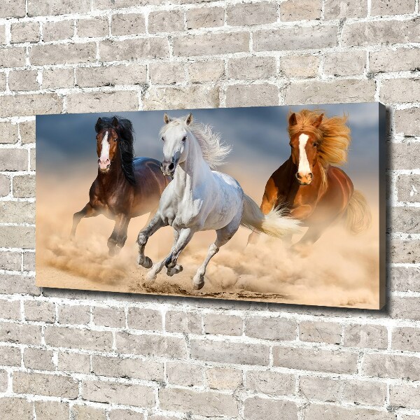 Canvas wall art Horses in the desert