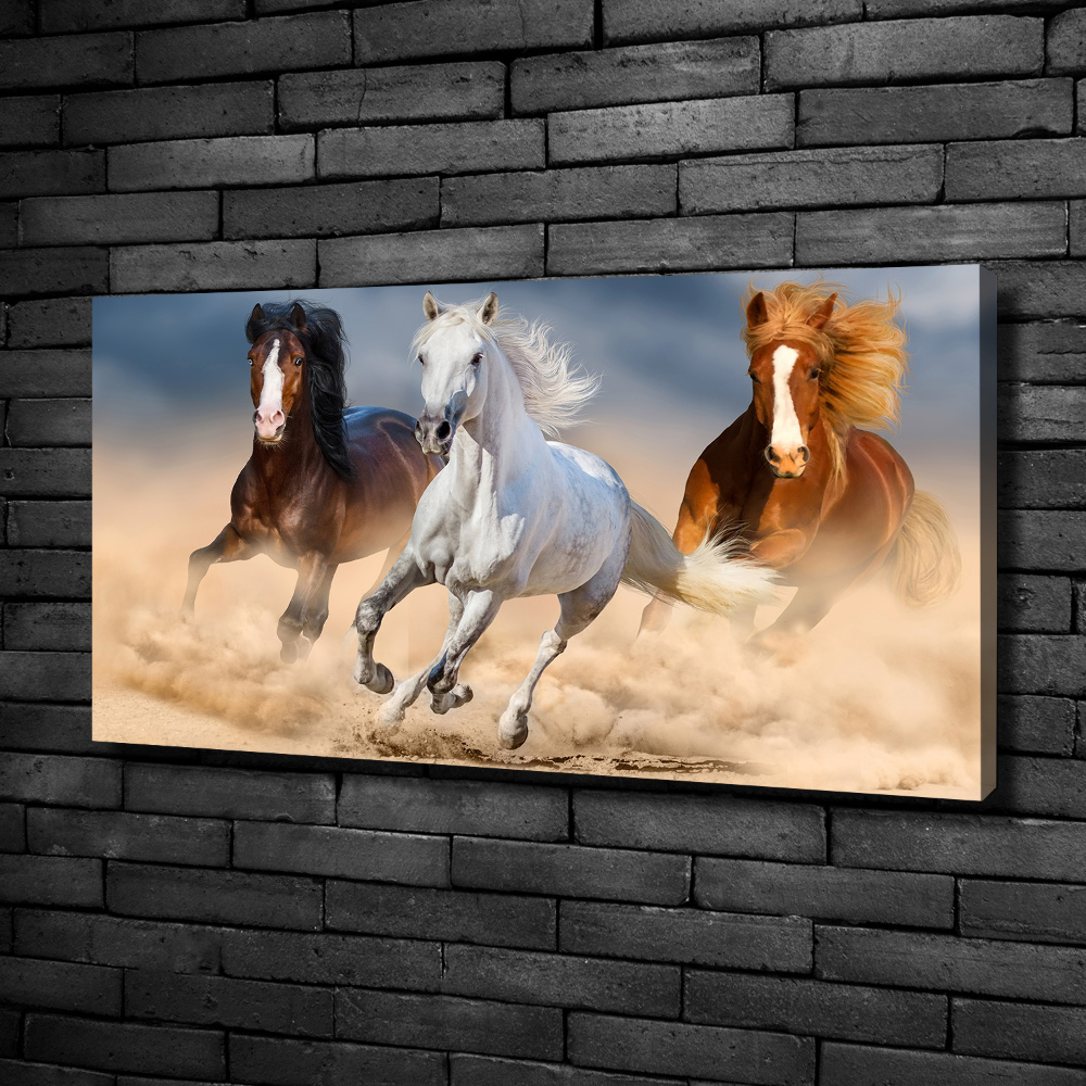 Canvas wall art Horses in the desert