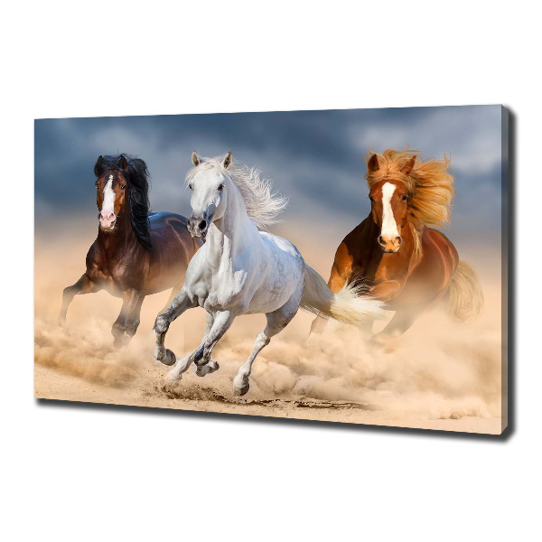 Canvas wall art Horses in the desert