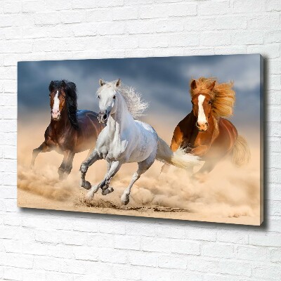 Canvas wall art Horses in the desert