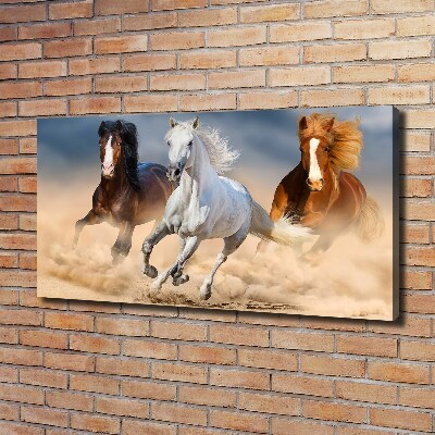 Canvas wall art Horses in the desert