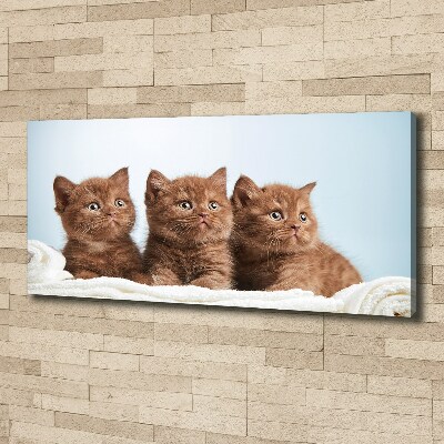 Canvas wall art Chatter cats