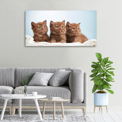 Canvas wall art Chatter cats