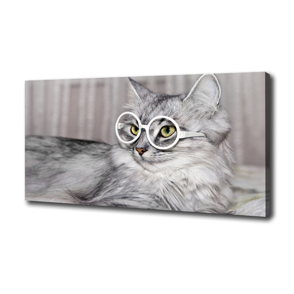 Canvas wall art Cat with glasses