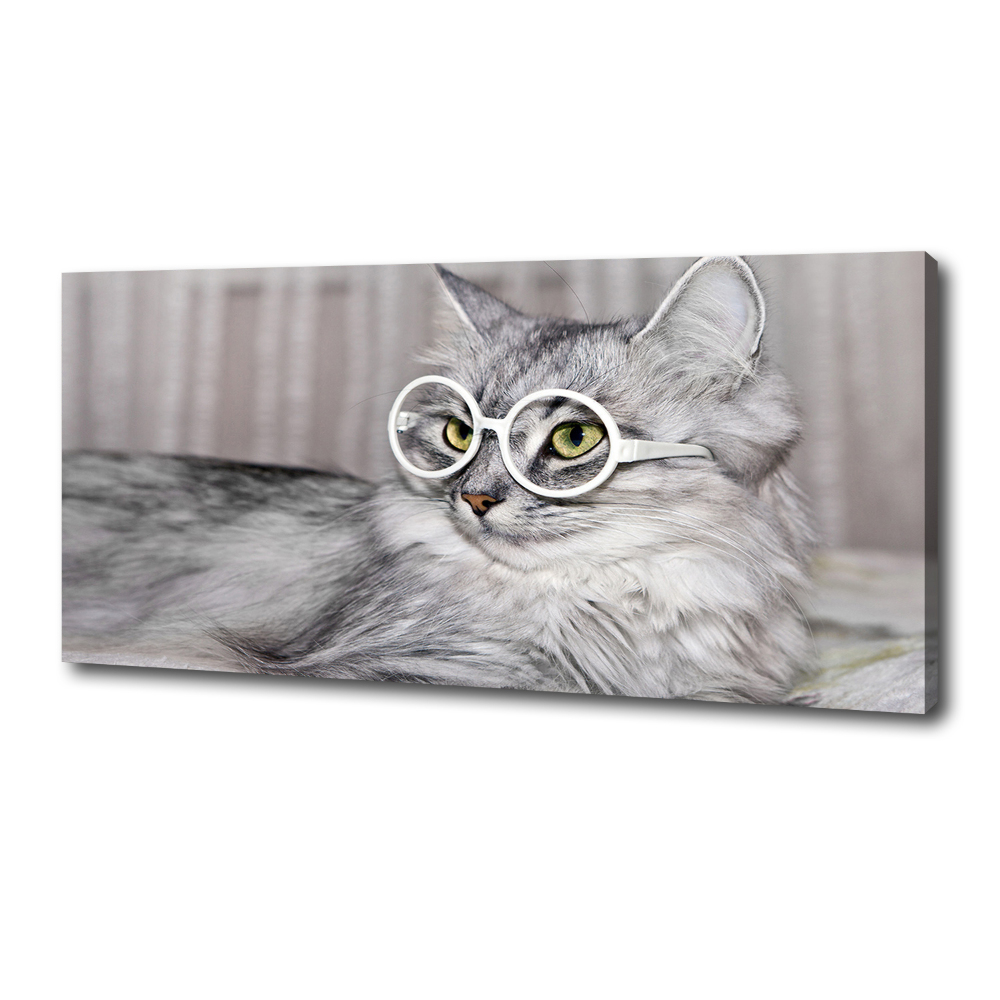 Canvas wall art Cat with glasses