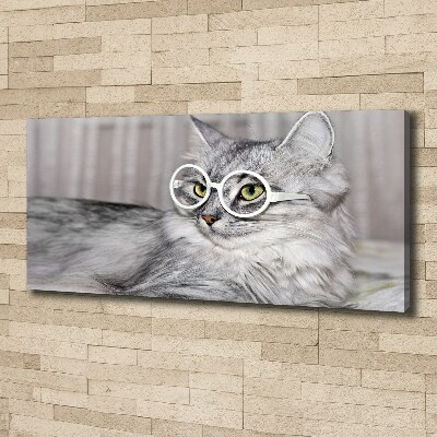 Canvas wall art Cat with glasses