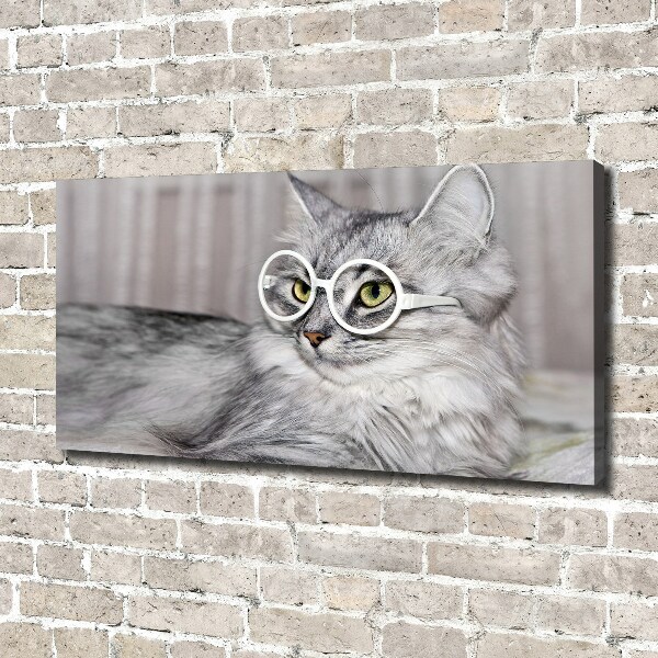 Canvas wall art Cat with glasses