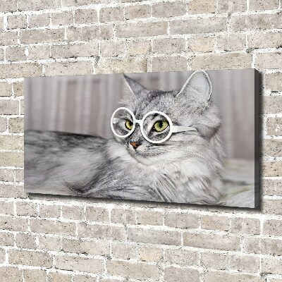 Canvas wall art Cat with glasses