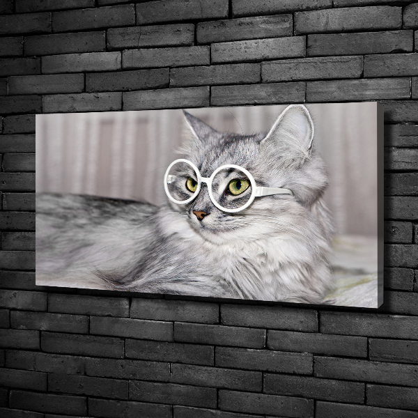 Canvas wall art Cat with glasses