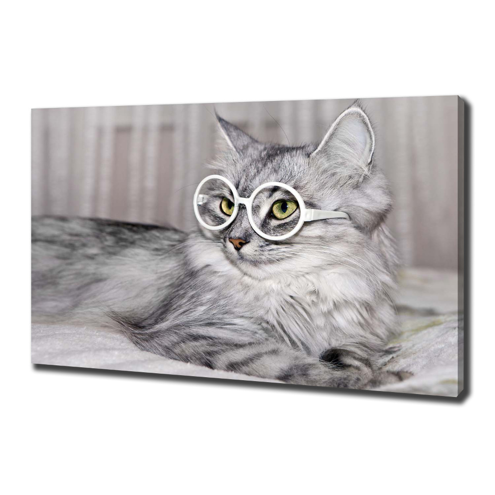 Canvas wall art Cat with glasses