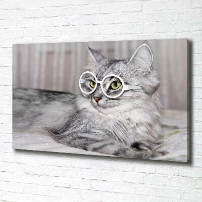 Canvas wall art Cat with glasses