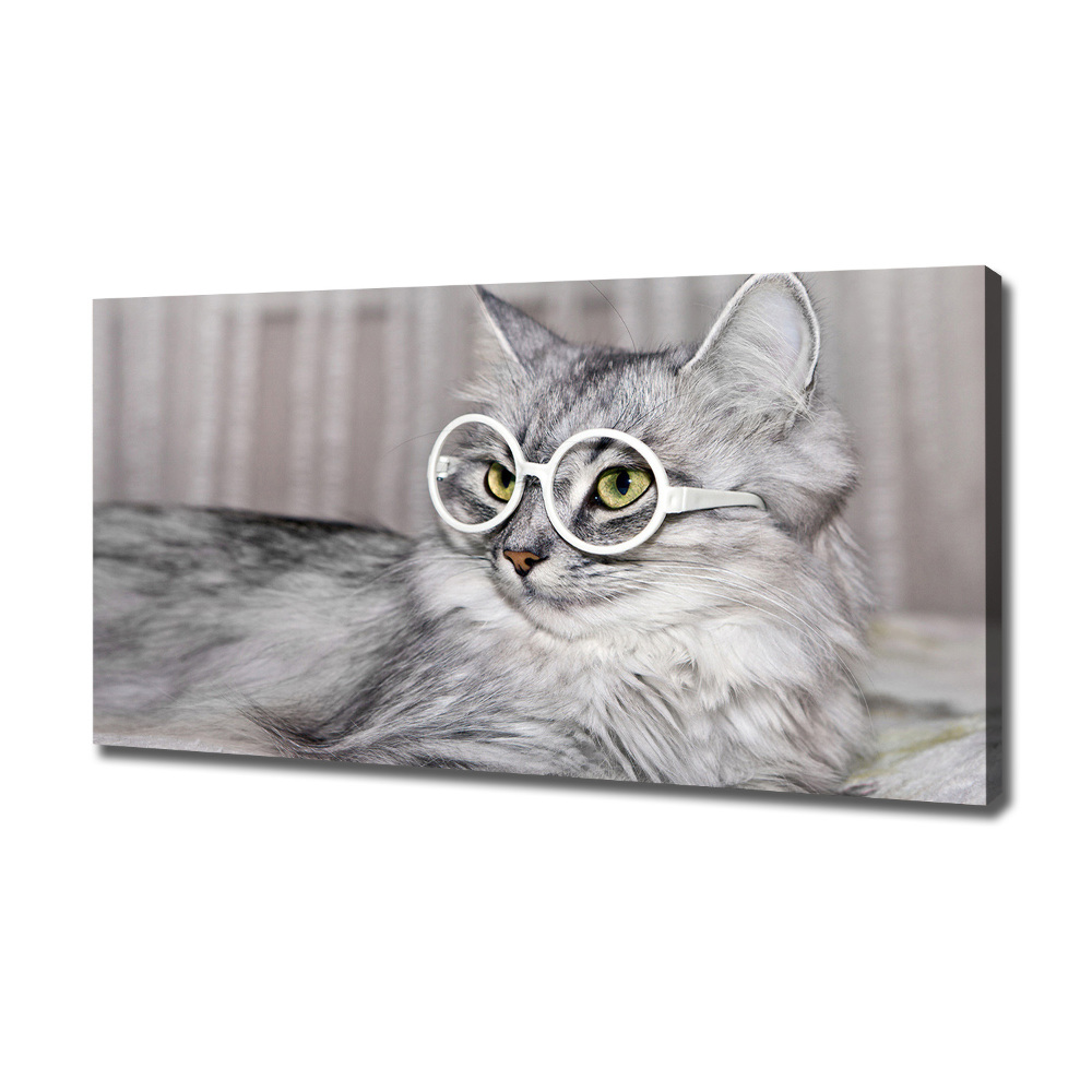 Canvas wall art Cat with glasses