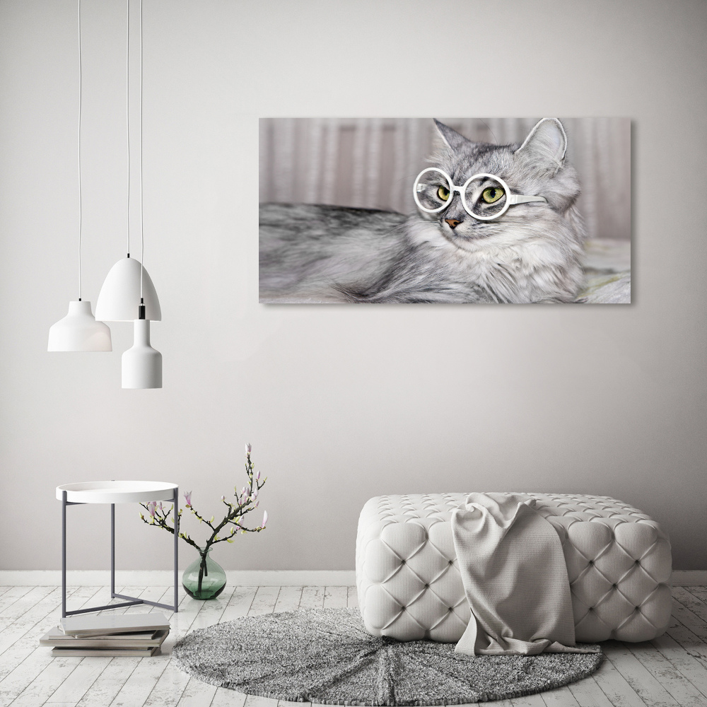 Canvas wall art Cat with glasses