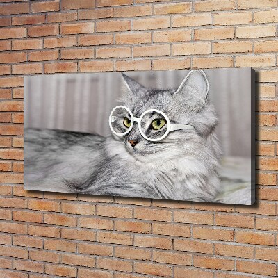 Canvas wall art Cat with glasses