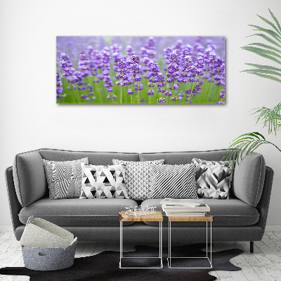 Canvas wall art Lavender