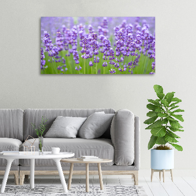 Canvas wall art Lavender