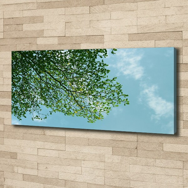 Canvas wall art Leaves in the sky