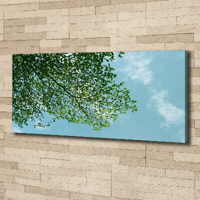 Canvas wall art Leaves in the sky