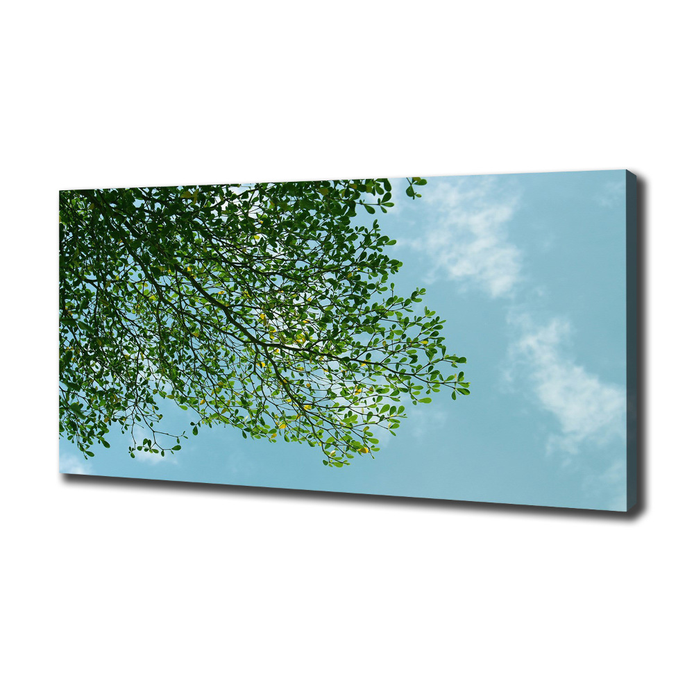 Canvas wall art Leaves in the sky