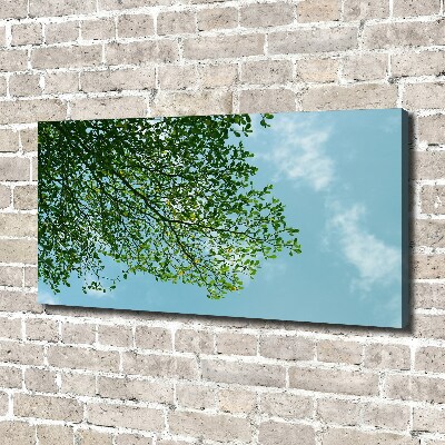 Canvas wall art Leaves in the sky