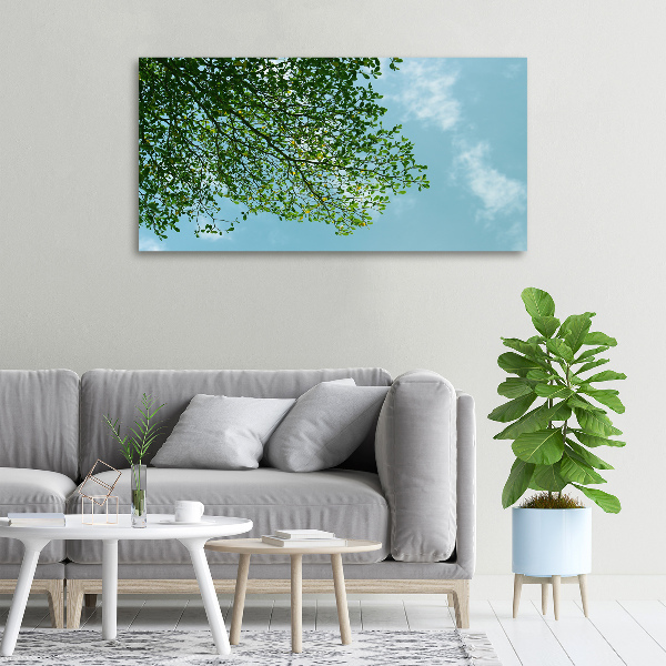 Canvas wall art Leaves in the sky