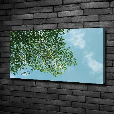 Canvas wall art Leaves in the sky