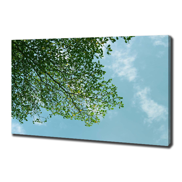 Canvas wall art Leaves in the sky