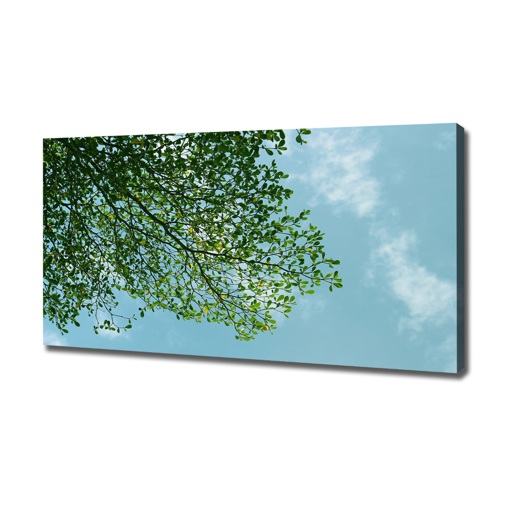 Canvas wall art Leaves in the sky