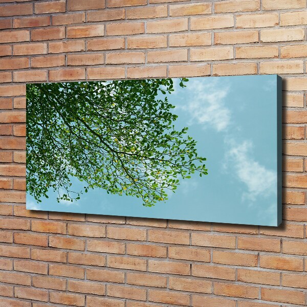 Canvas wall art Leaves in the sky