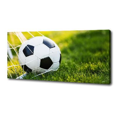 Canvas wall art Ball in the goal