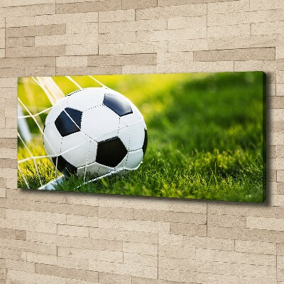 Canvas wall art Ball in the goal