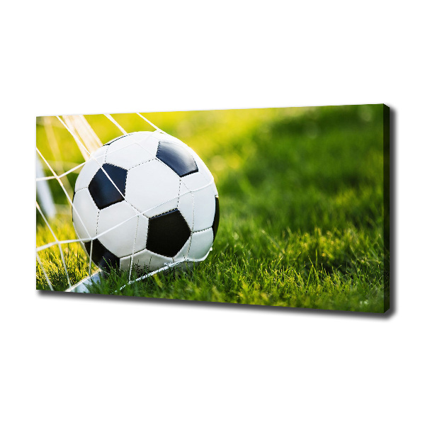 Canvas wall art Ball in the goal