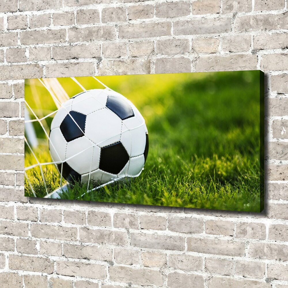 Canvas wall art Ball in the goal