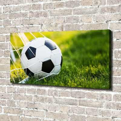 Canvas wall art Ball in the goal