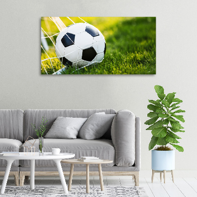 Canvas wall art Ball in the goal