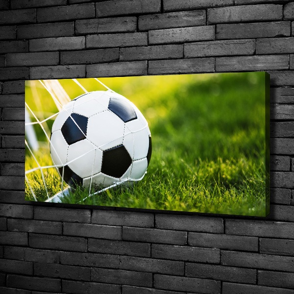 Canvas wall art Ball in the goal