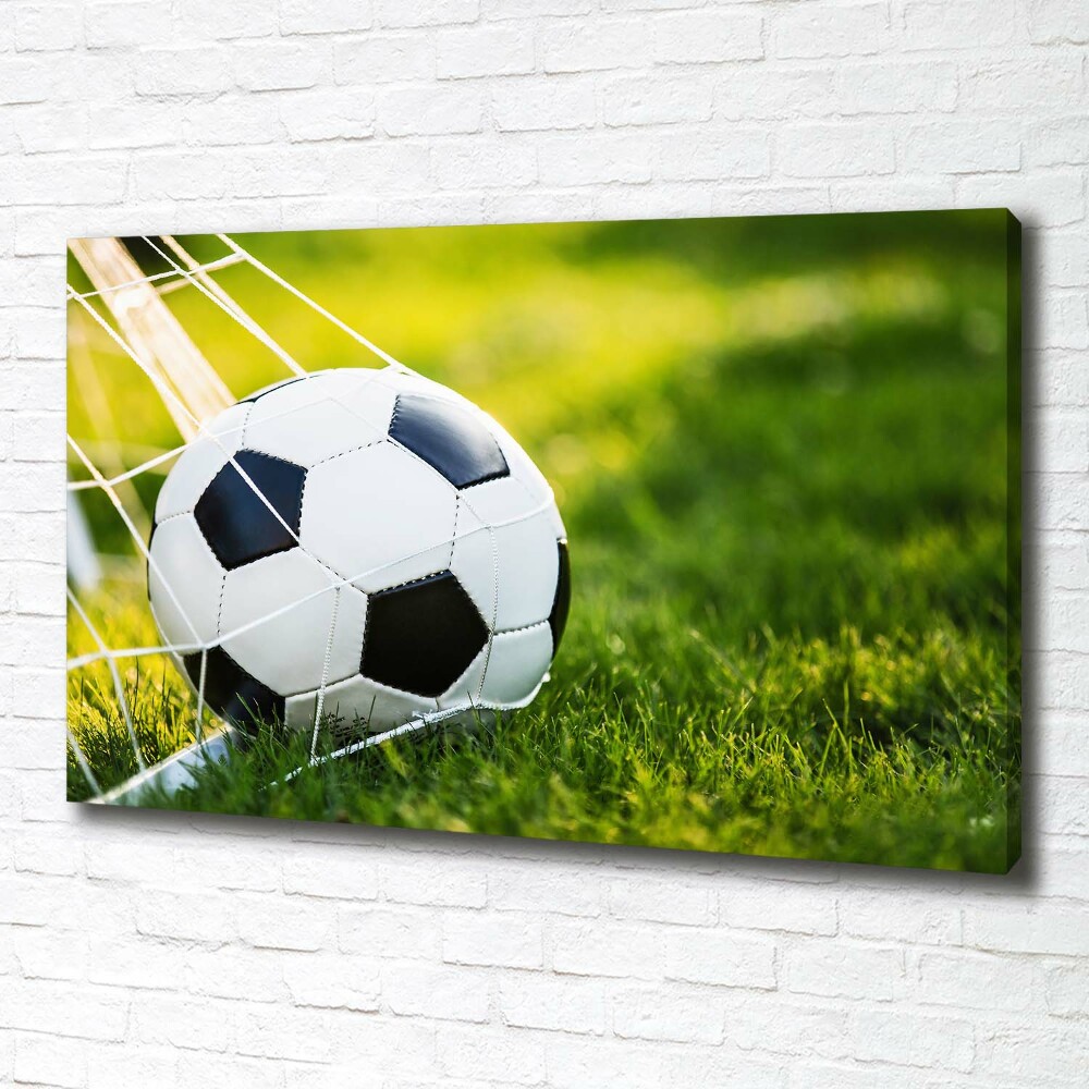 Canvas wall art Ball in the goal