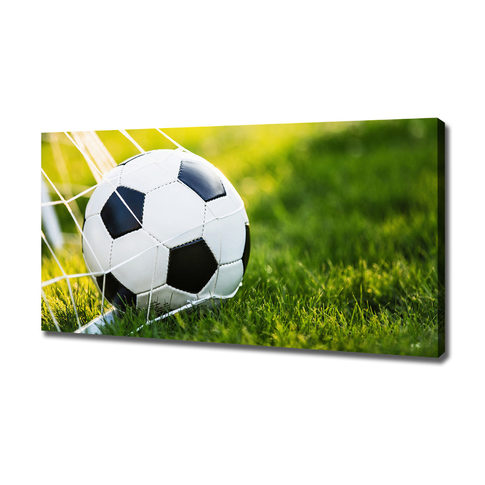 Canvas wall art Ball in the goal