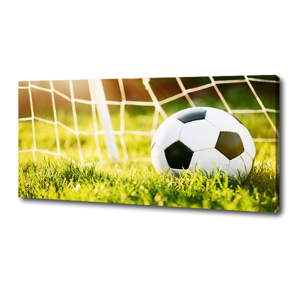 Canvas wall art Ball in the goal