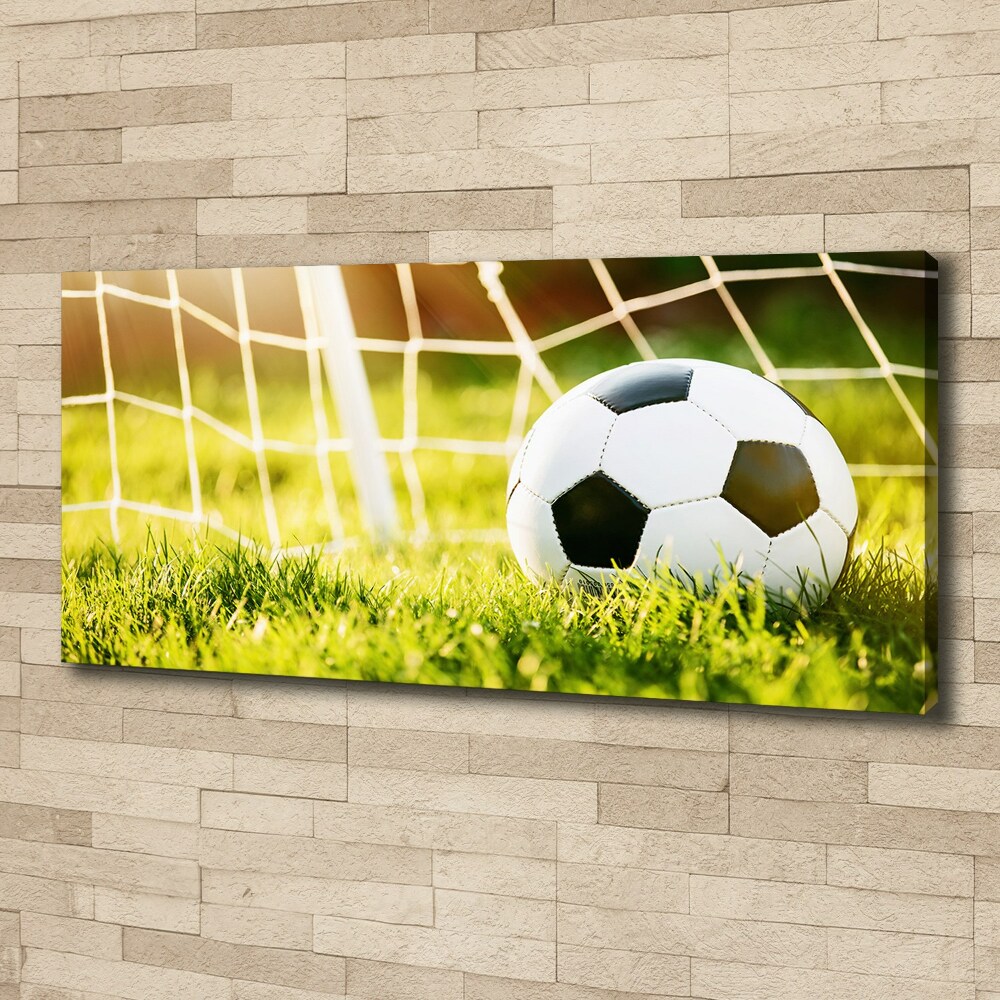 Canvas wall art Ball in the goal