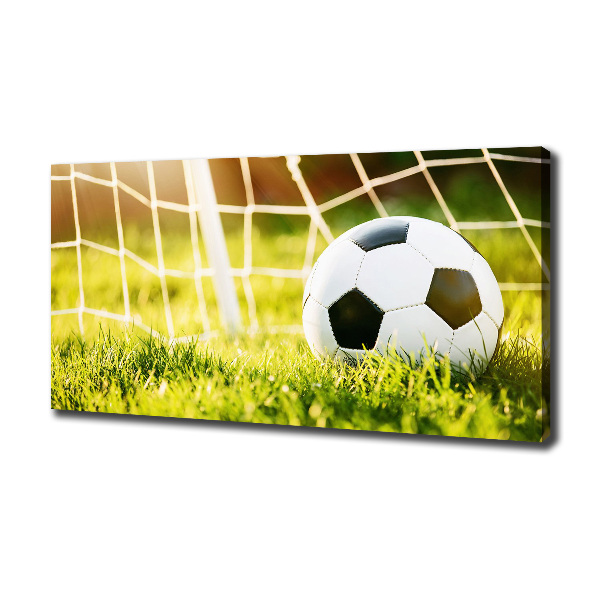 Canvas wall art Ball in the goal