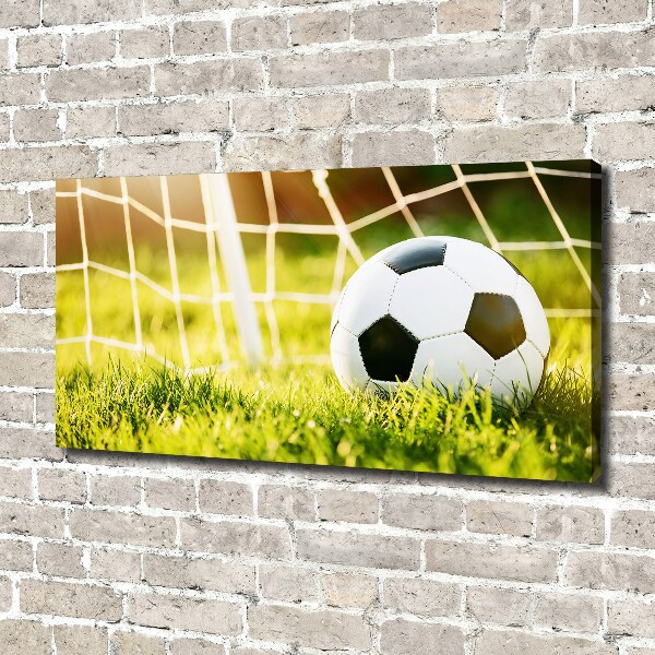 Canvas wall art Ball in the goal