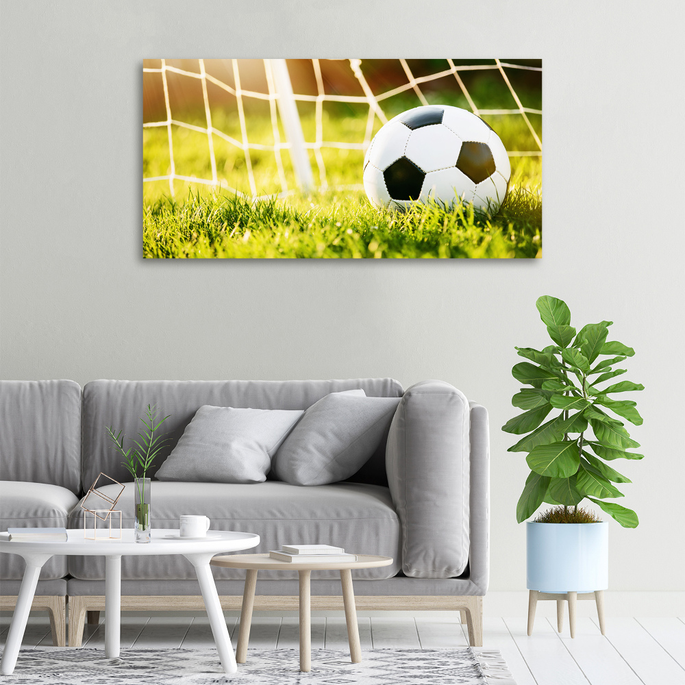 Canvas wall art Ball in the goal